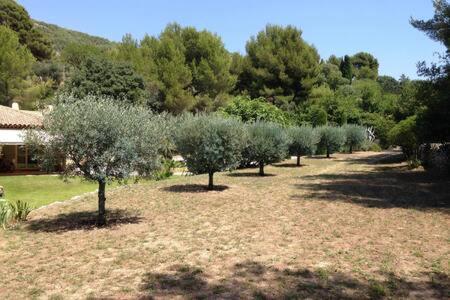فيلا ساناري سور ميرفي Maison Privee Au Calme Dans Mas Provencal المظهر الخارجي الصورة
